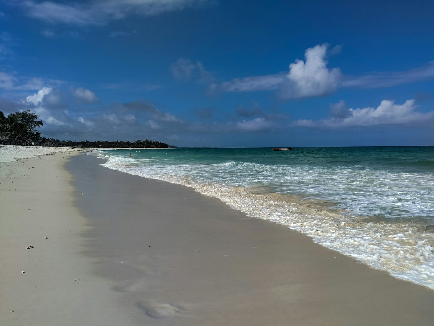 White sand and palm trees on Diani Beach