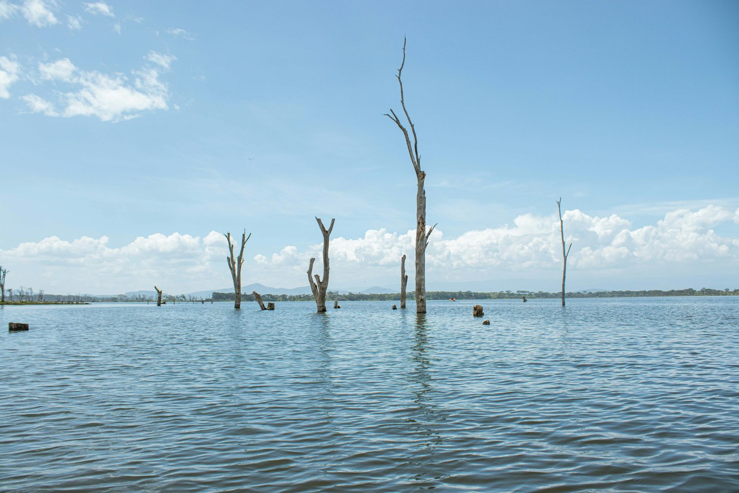 A boat on Lake Naivasha