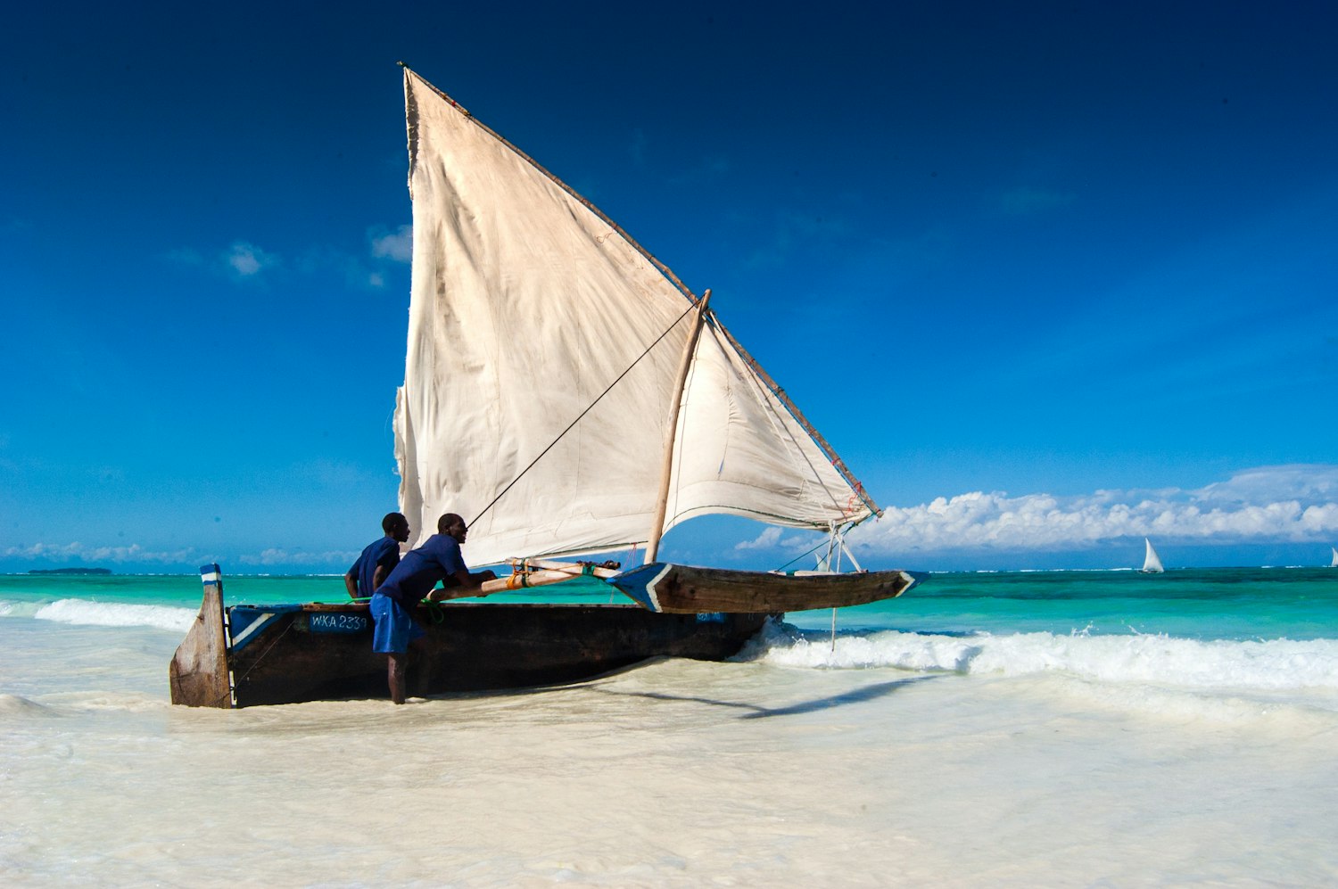 Zanzibar beach with palm trees